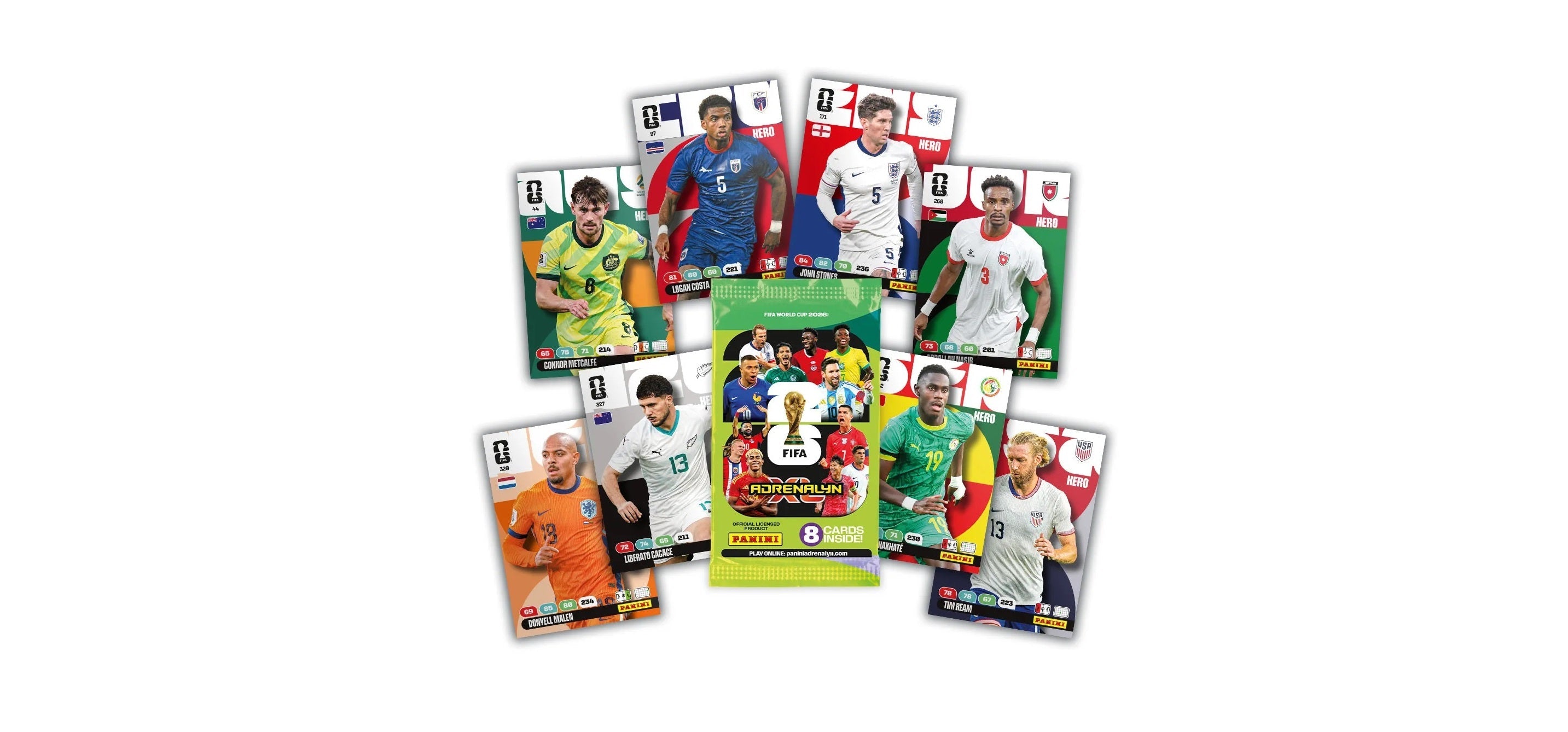 Panini Fussball
