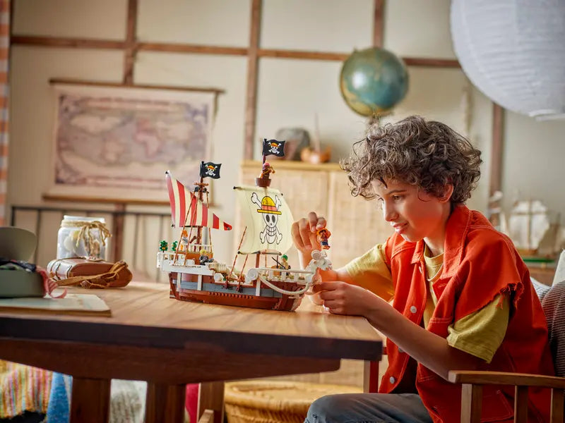 LEGO® ONE PIECE