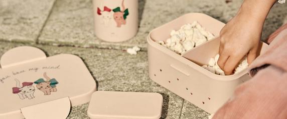 Trinkflaschen & Lunchboxen