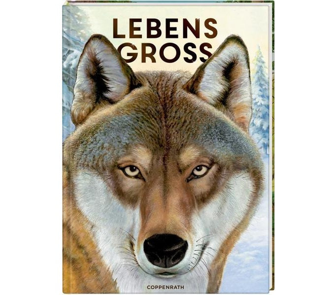 Lebensgross