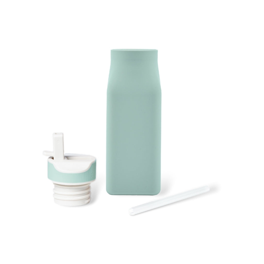 Gourde Lindi sauge 450 ml