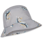 Rory Cap Australie - Coquillage
