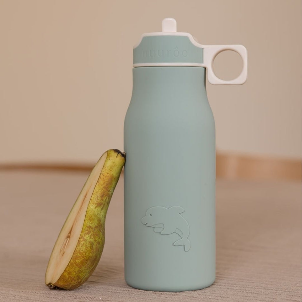 Lau gourde Dauphin Sage 400 ml