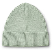 Ezra Beanie Dusty Mint