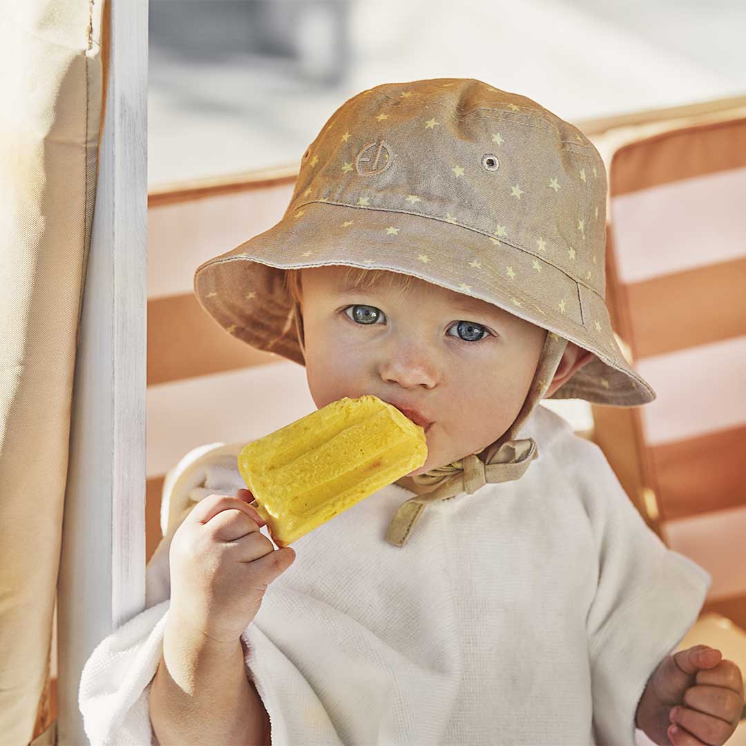 Sonnenhut Lemon Sternchen