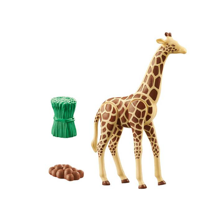 Giraffe