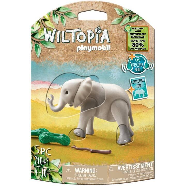 Young elephant