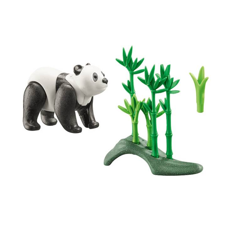 panda
