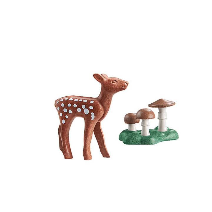 fawn