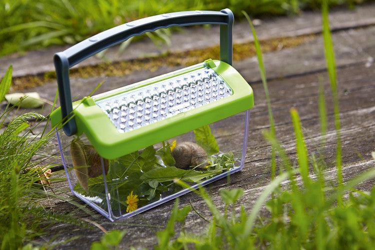 Terra Kids Insektenbox