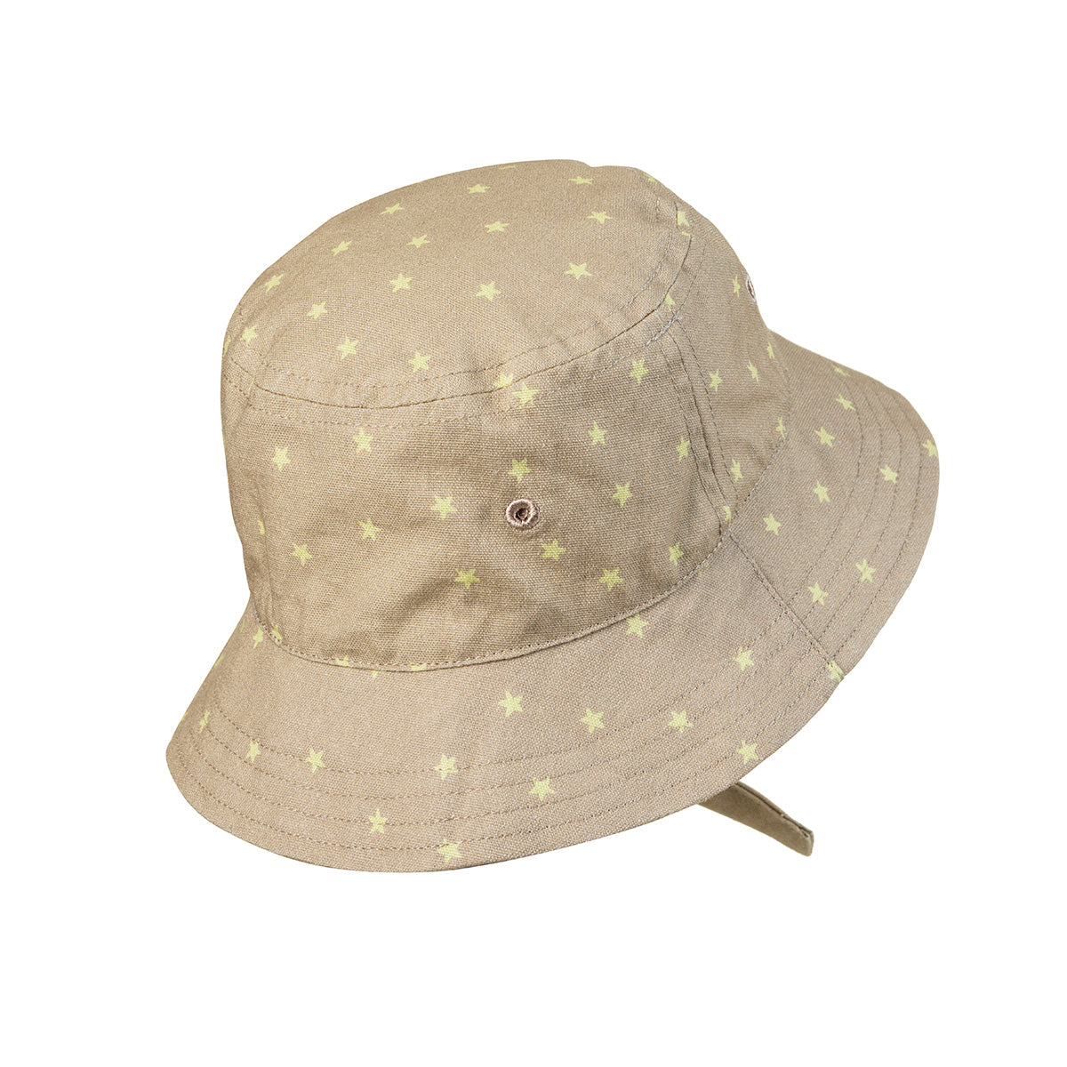 Sonnenhut Lemon Sternchen