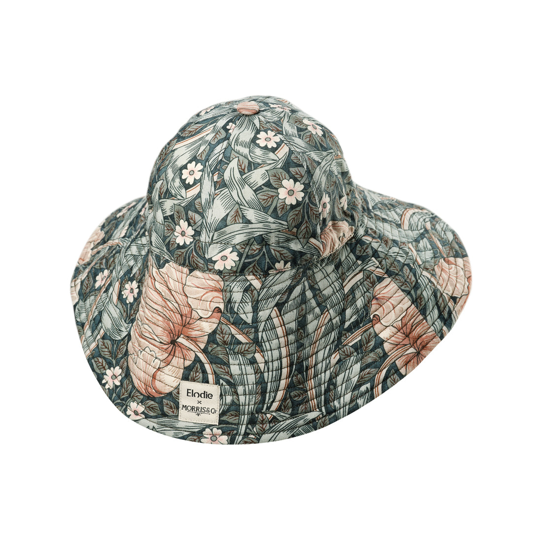 Sonnenhut Pimpernel