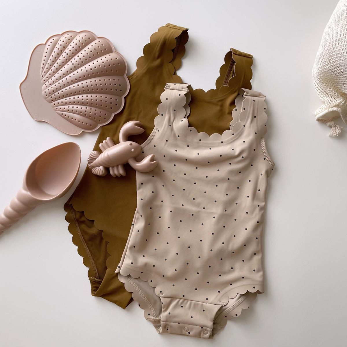 Rory Cap Australie - Coquillage