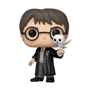 Harry Potter et Hedwige