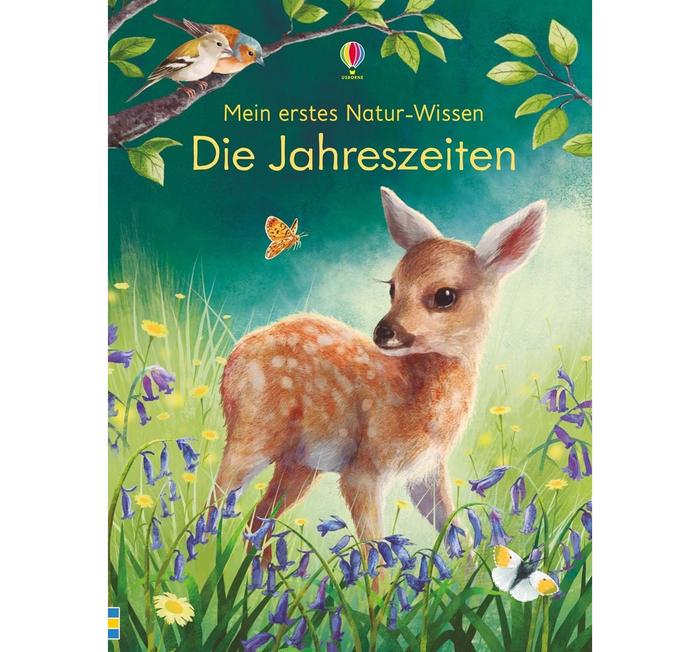 Mein erstes Natur-Wissen: Die Jahreszeiten