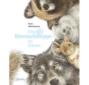 Eine Sternschnuppe im Schnee