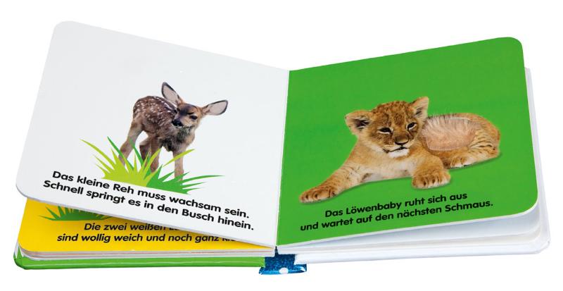 Mein Fühlbilderbuch. Tierkinder 2