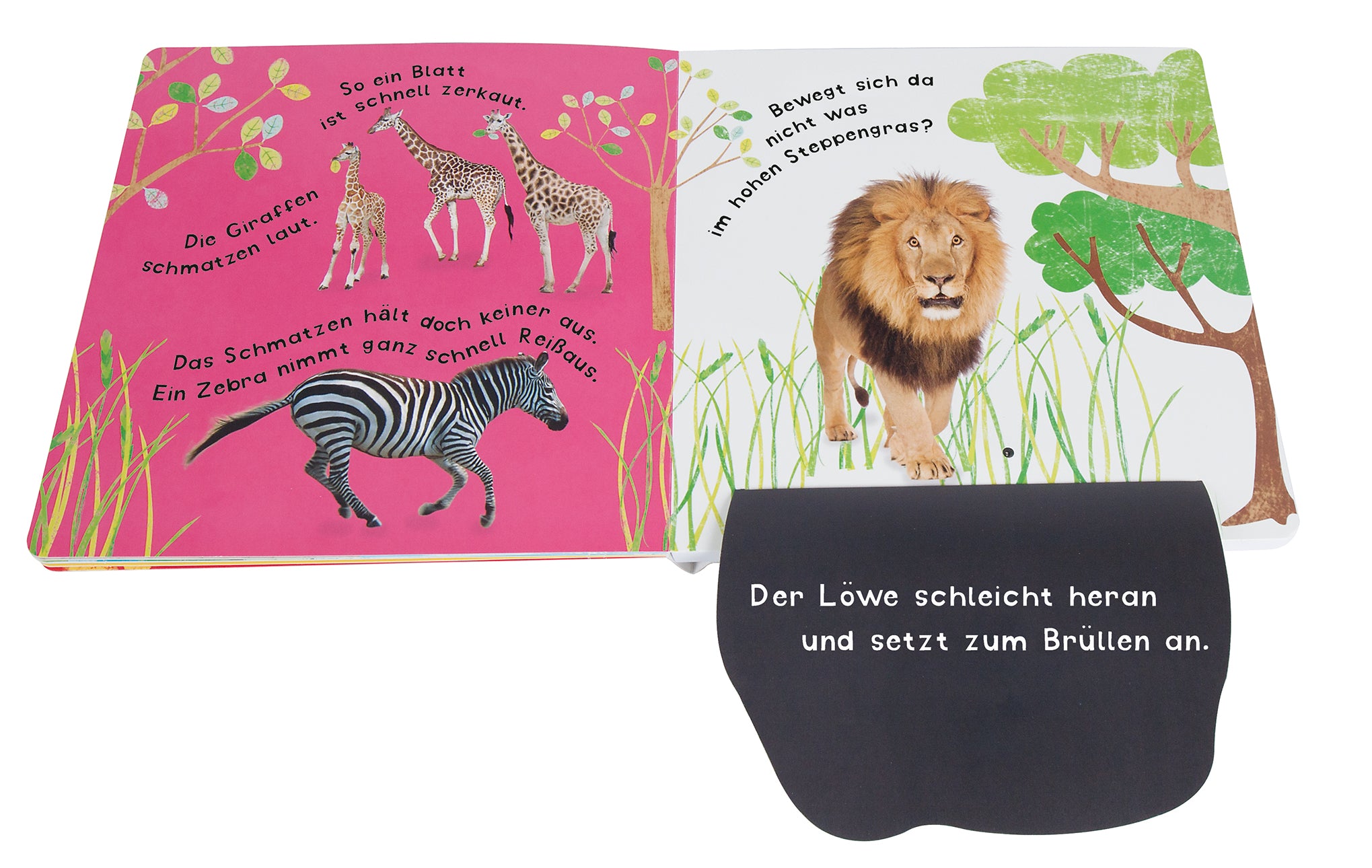 Klang-Klappenbuch: Tiere