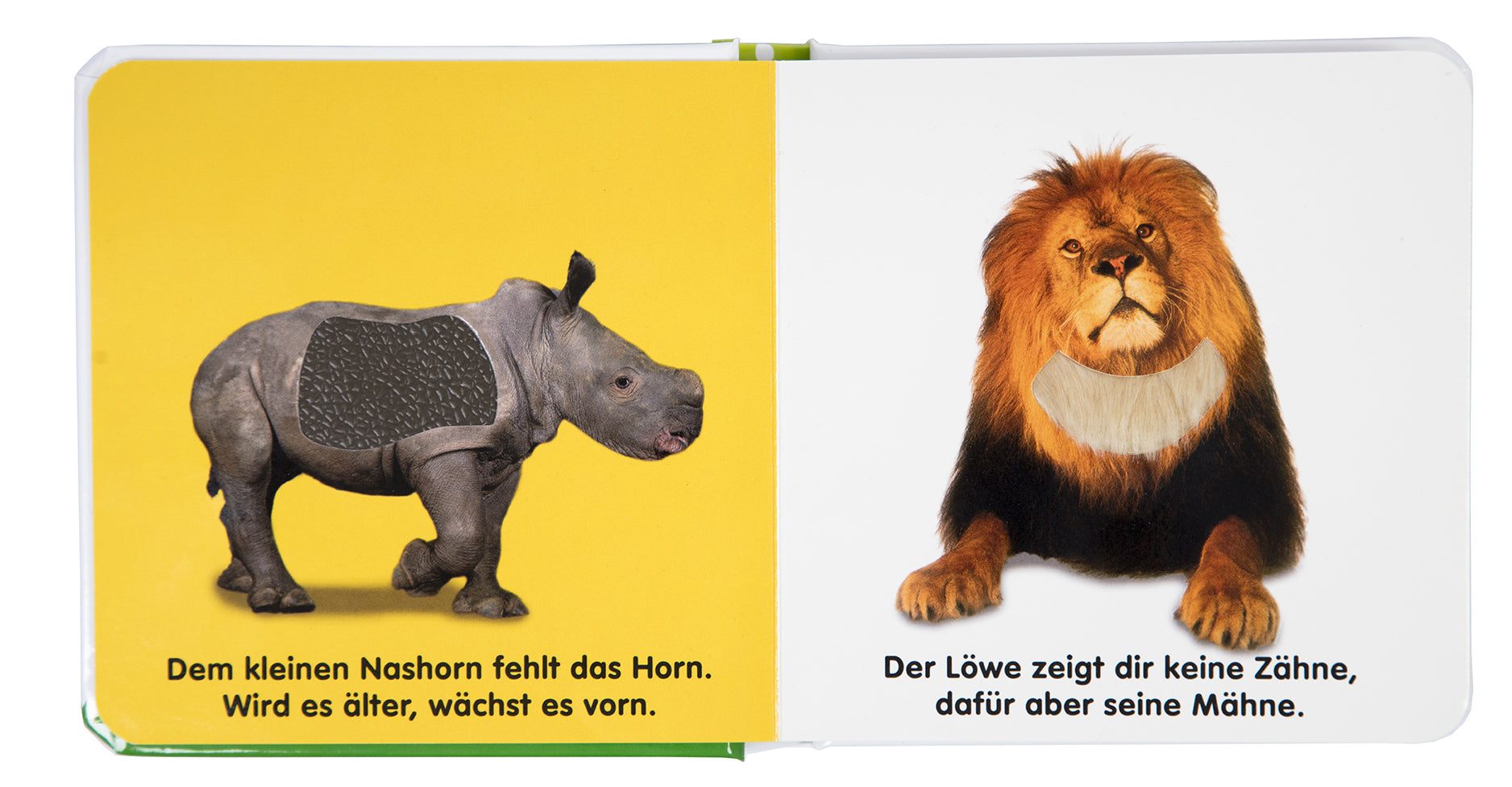 Mein Fühlbilderbuch. Im Zoo