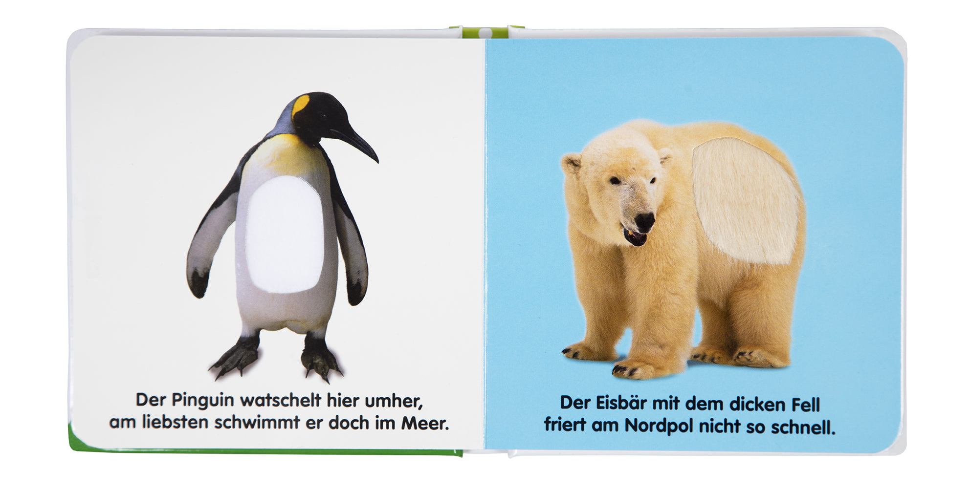 Mein Fühlbilderbuch. Im Zoo