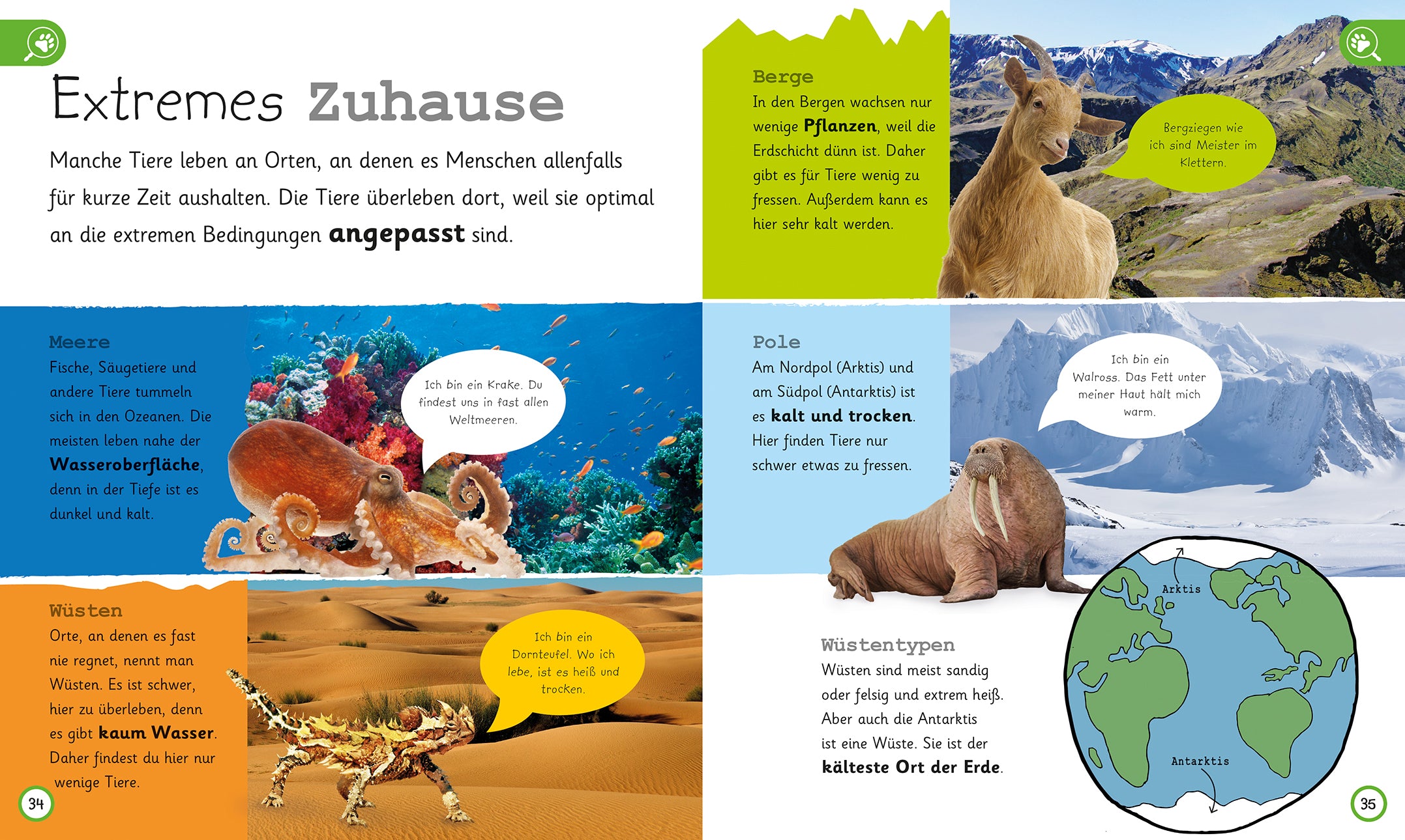 Was weisst du über Tiere?