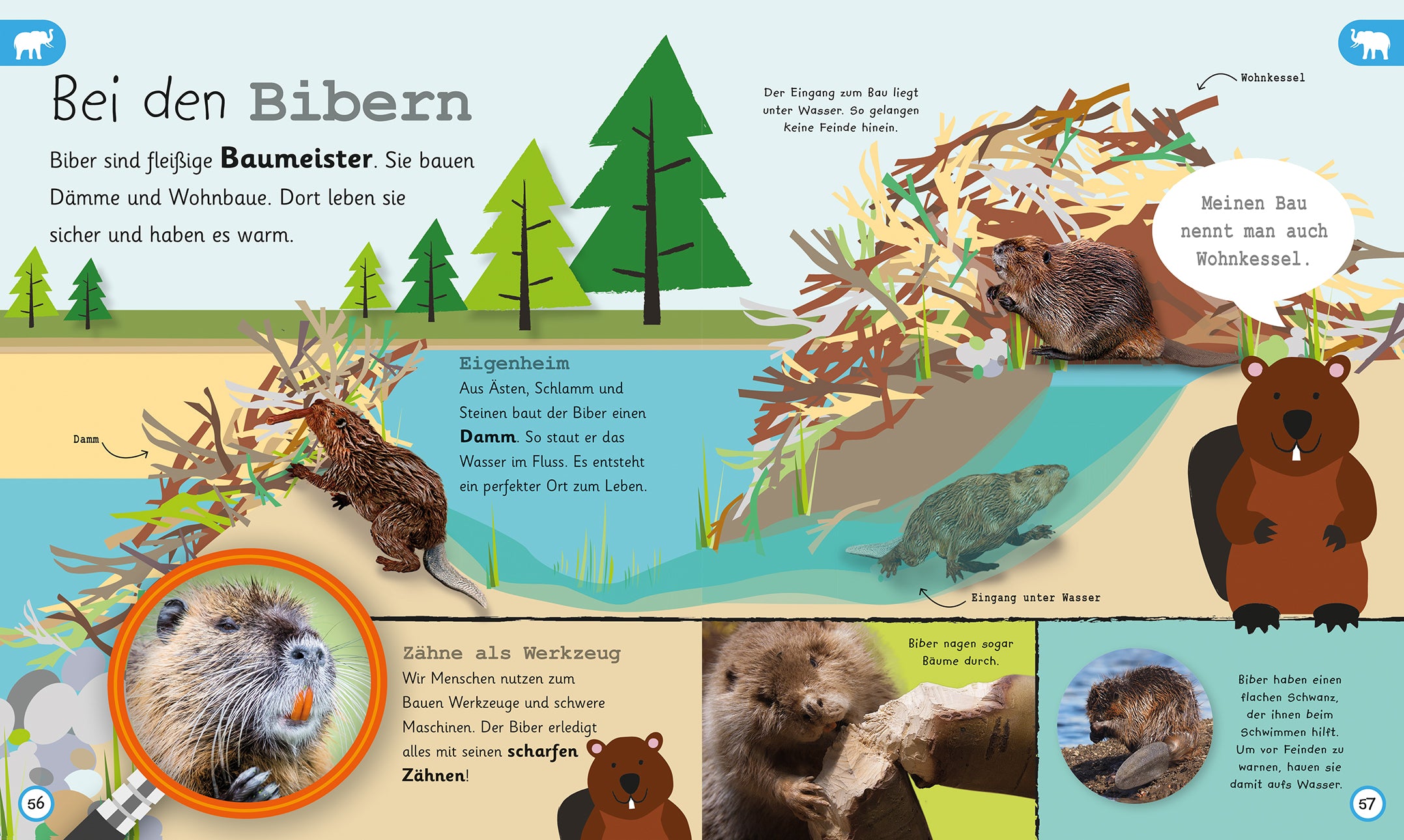 Was weisst du über Tiere?