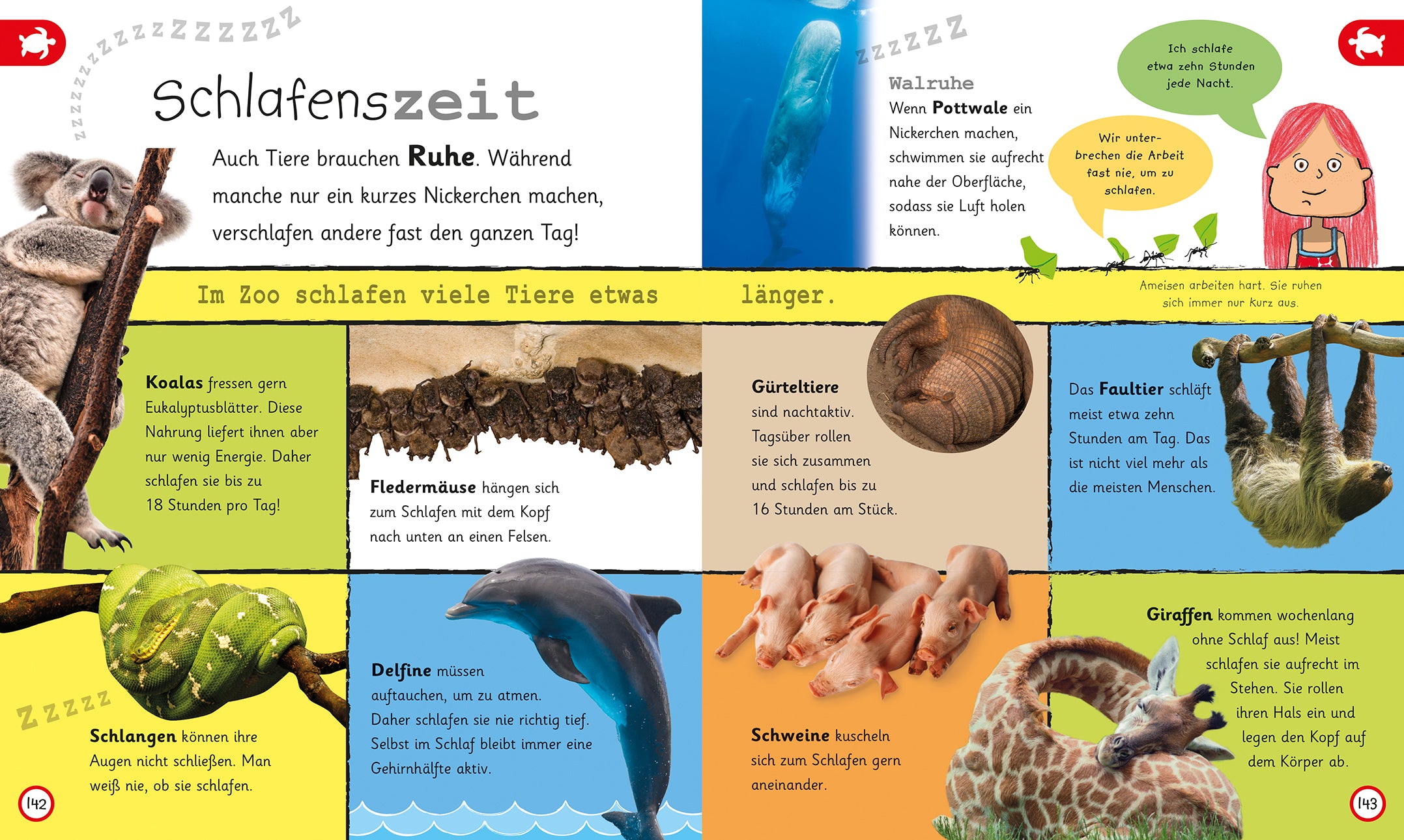 Was weisst du über Tiere?