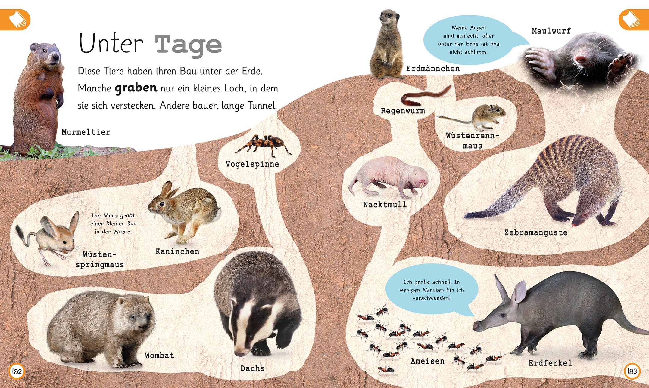 Was weisst du über Tiere?