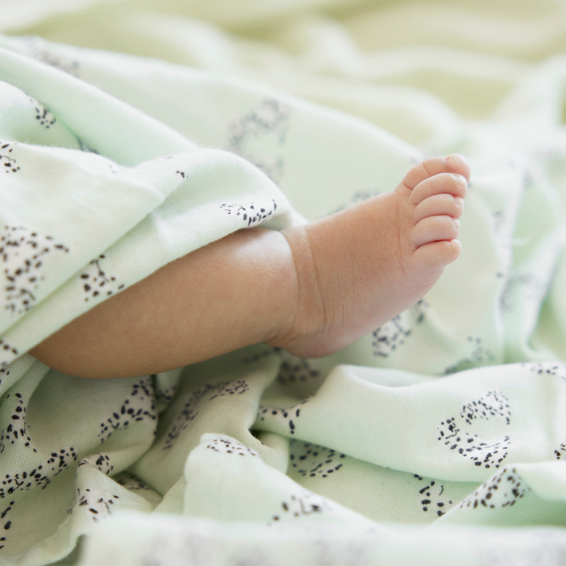 Bambus Muslin Swaddle Darling Dalmatin