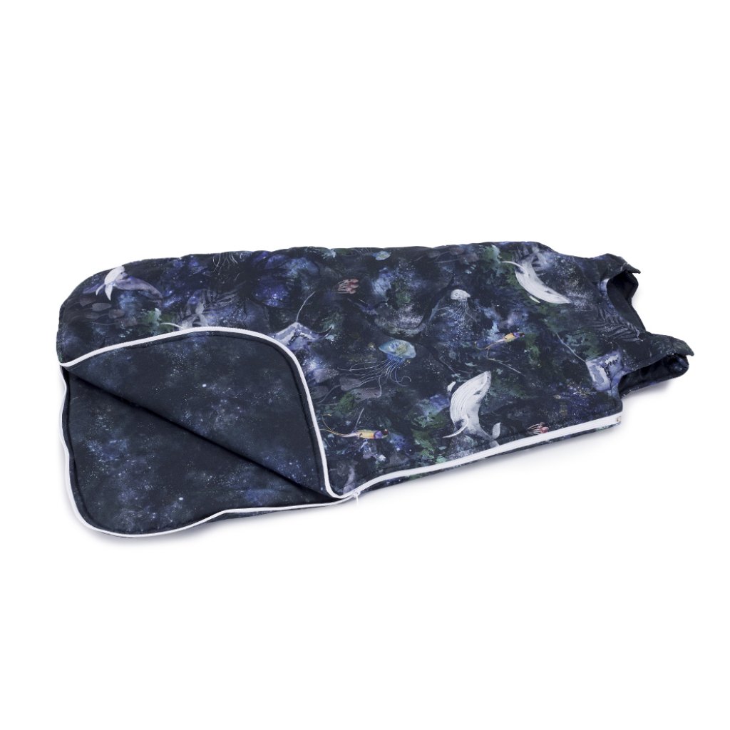 Lot de pailles en silicone Zoe, bleu multicolore