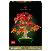 Japanese Red Maple Bonsai Tree