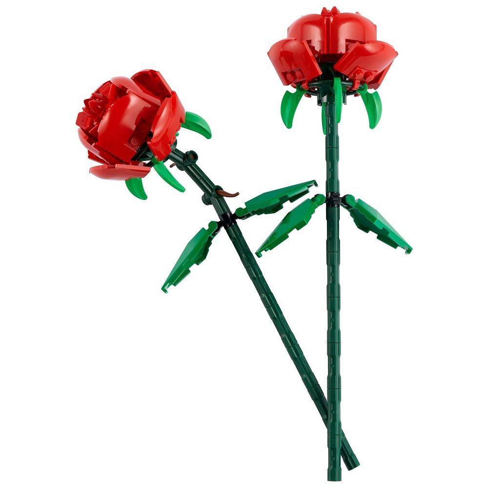 Bouquet de roses roses