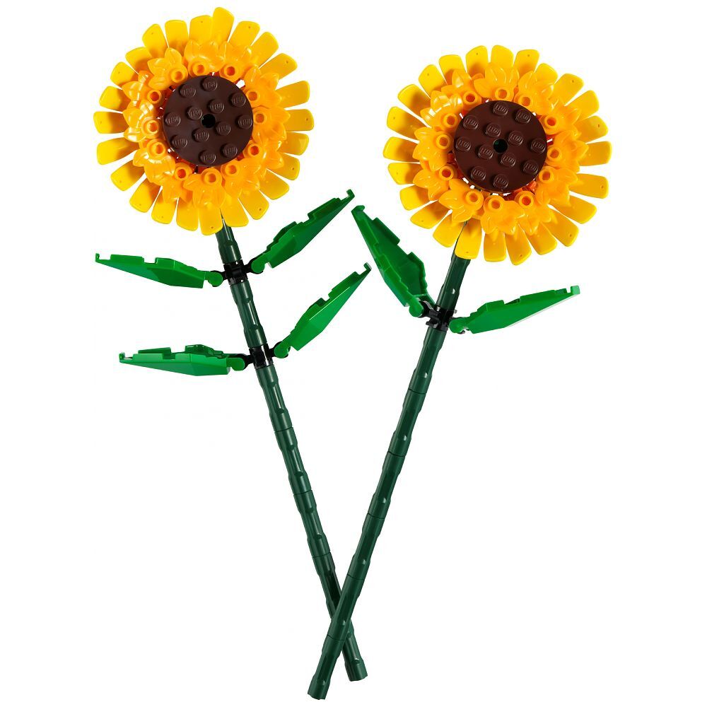 Sonnenblumen