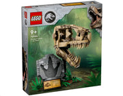 Dinosaur fossils: T. rex head
