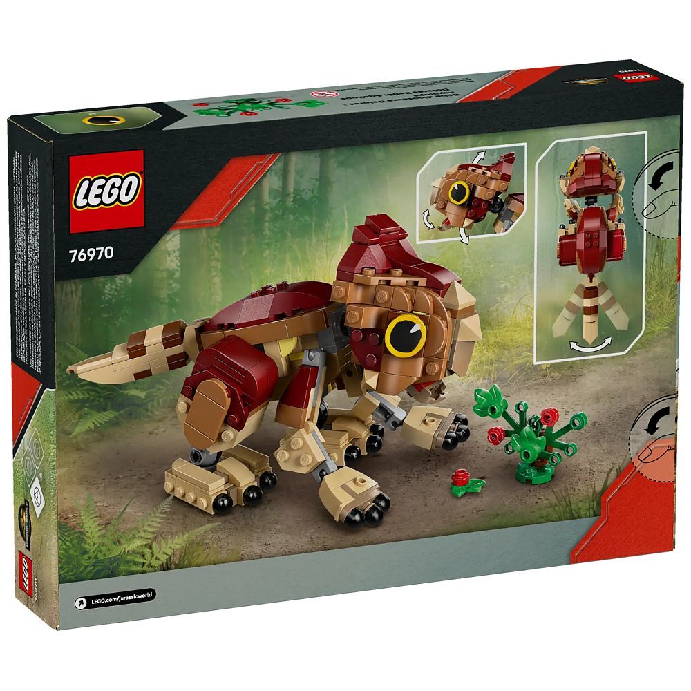 Bébé dinosaure Dolores : Aquilops