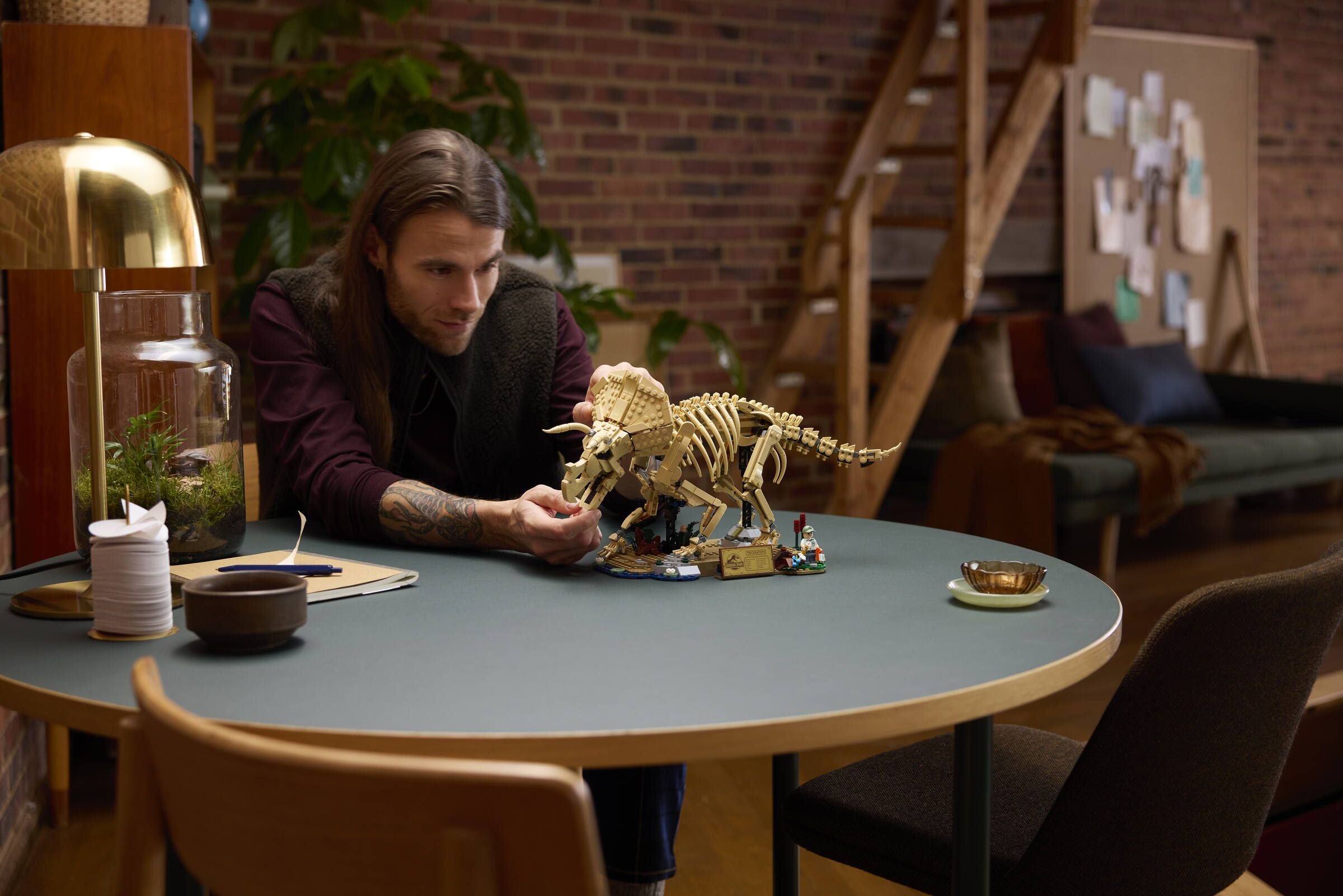 Dinosaur Fossils: Triceratops