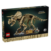 Dinosaur Fossils: Triceratops