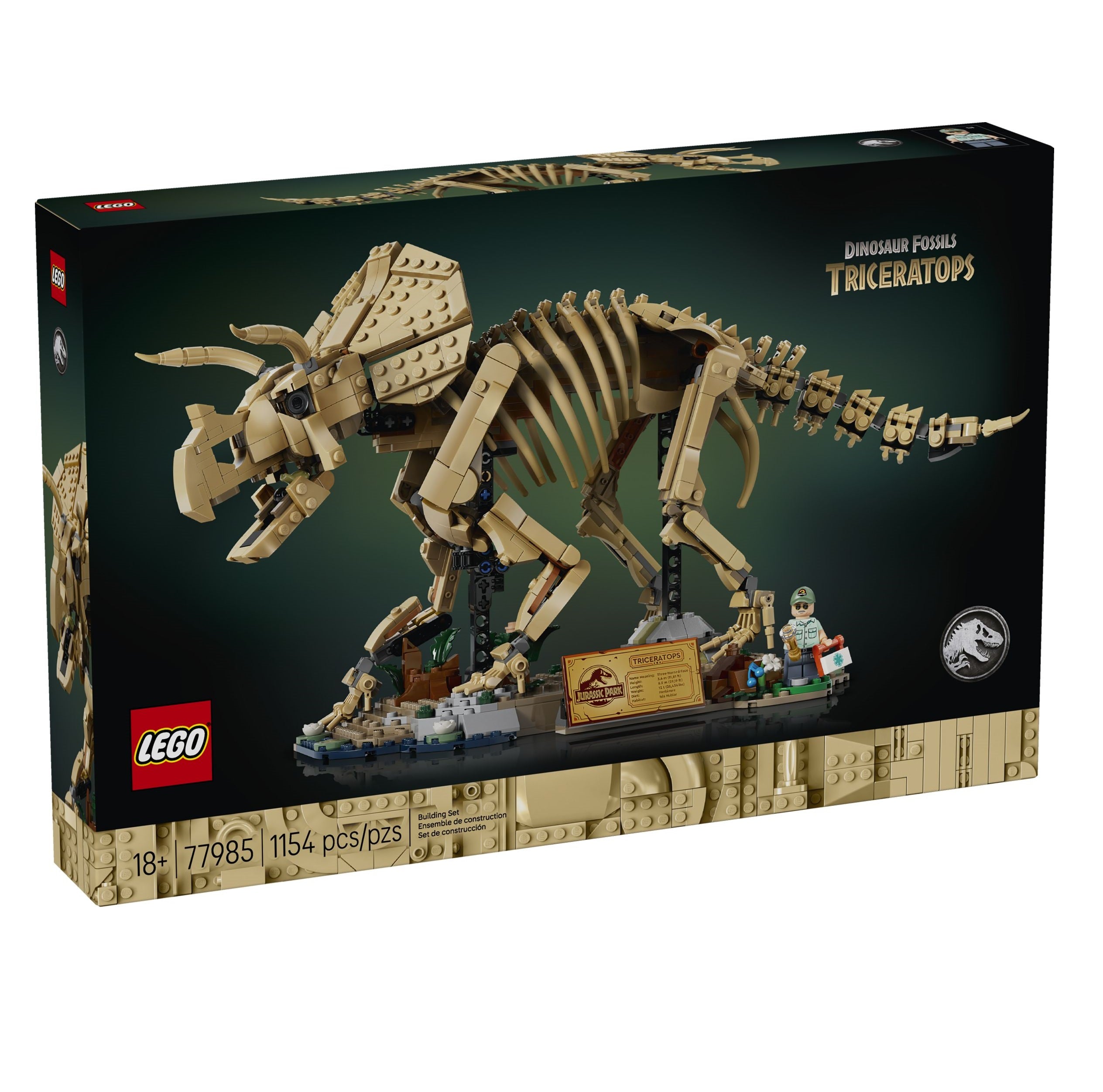 Dinosaurier-Fossilien: Triceratops