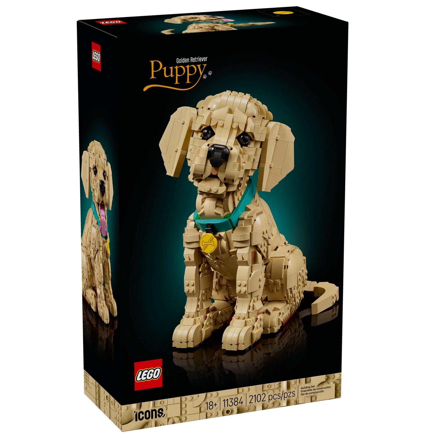 Golden Retriever Welpe