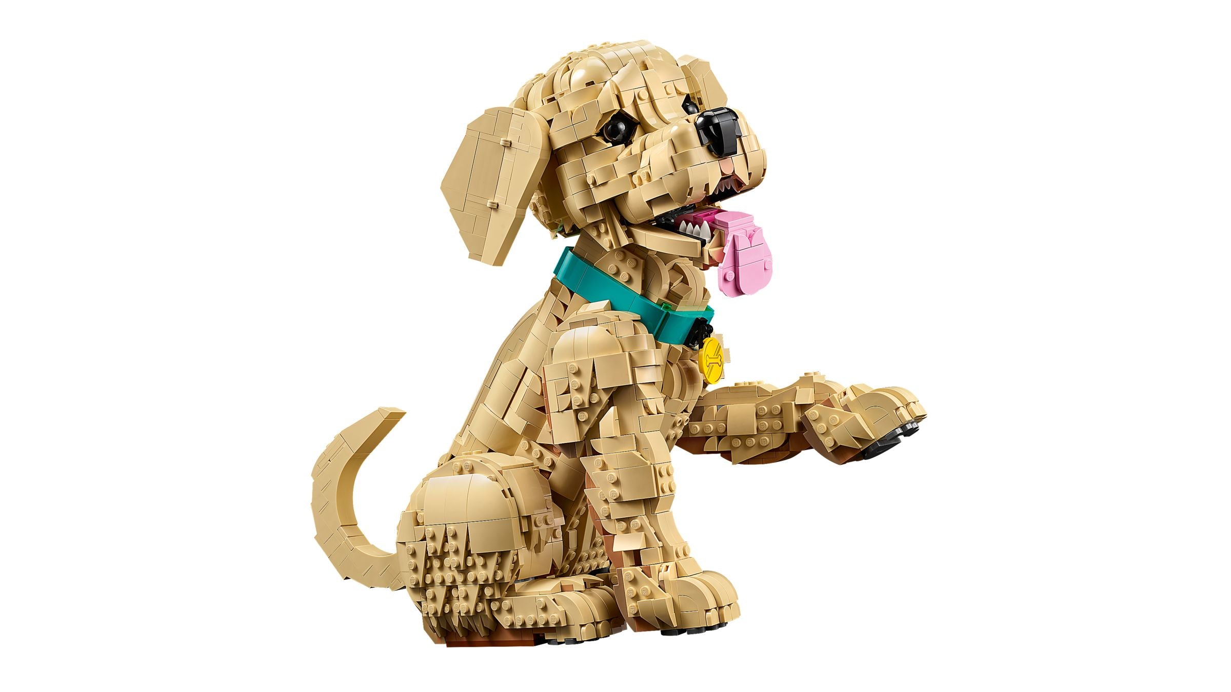 Golden Retriever Welpe
