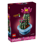 cactus en fleurs