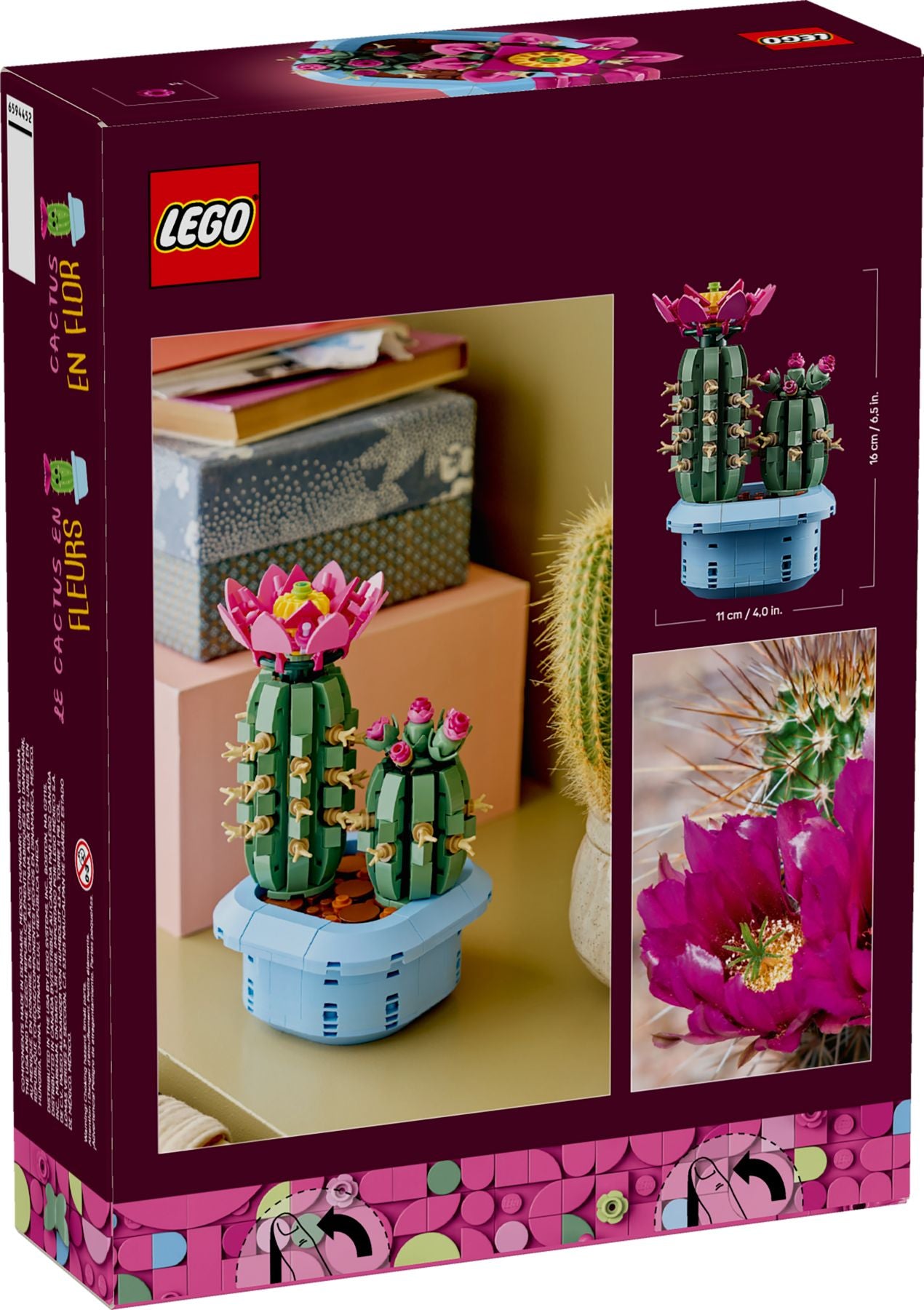 cactus en fleurs