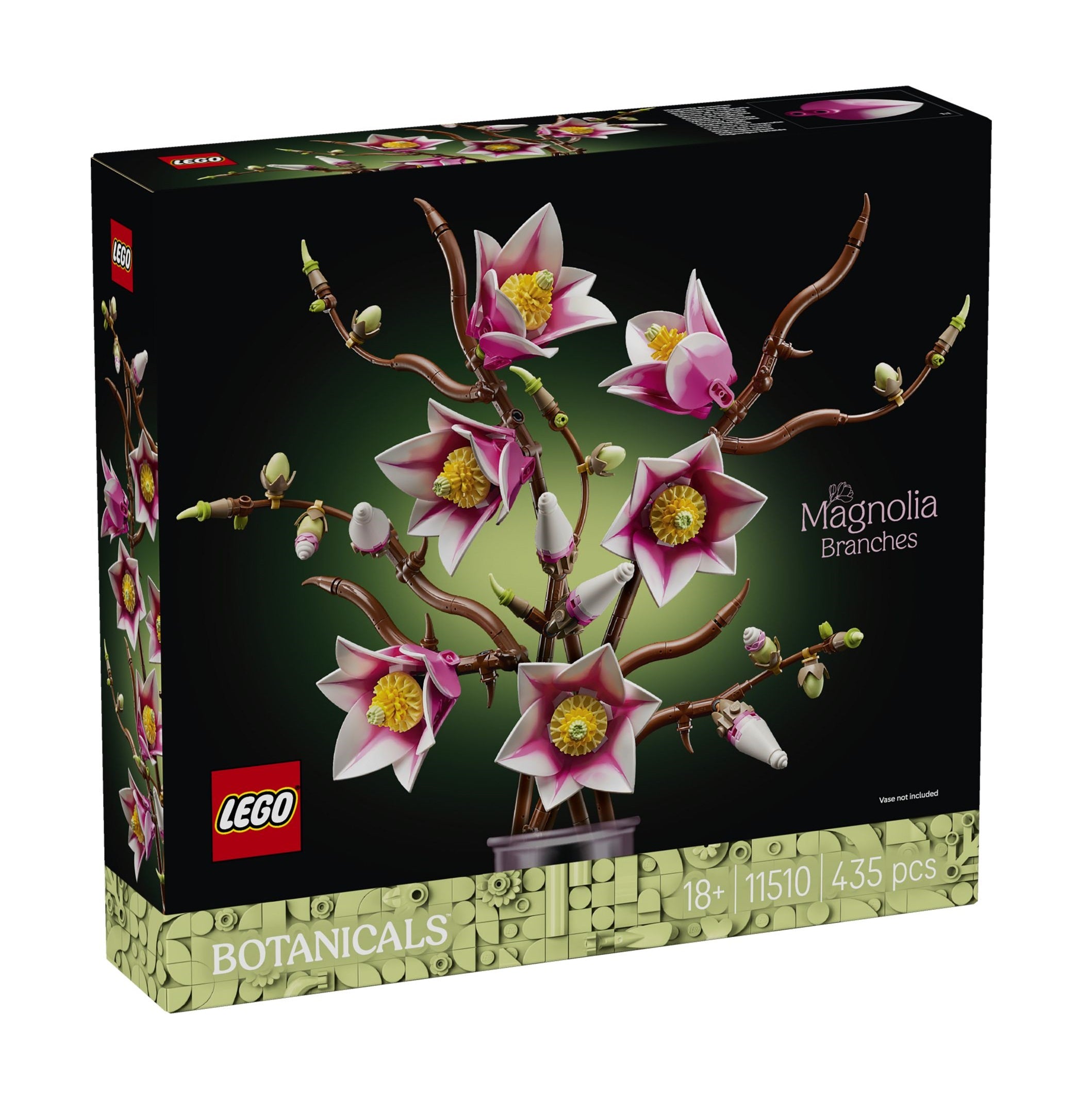 Magnolienzweige