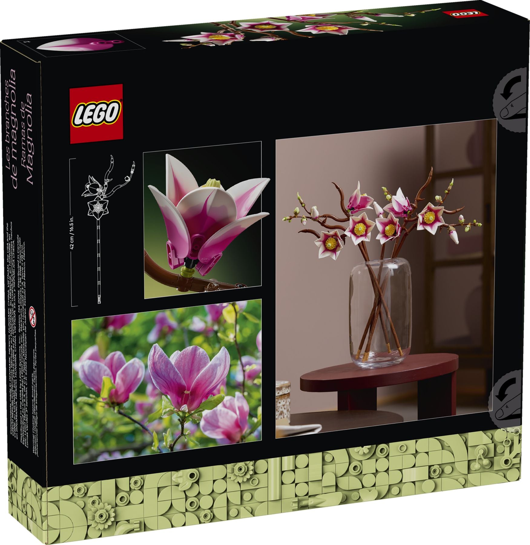 Magnolienzweige