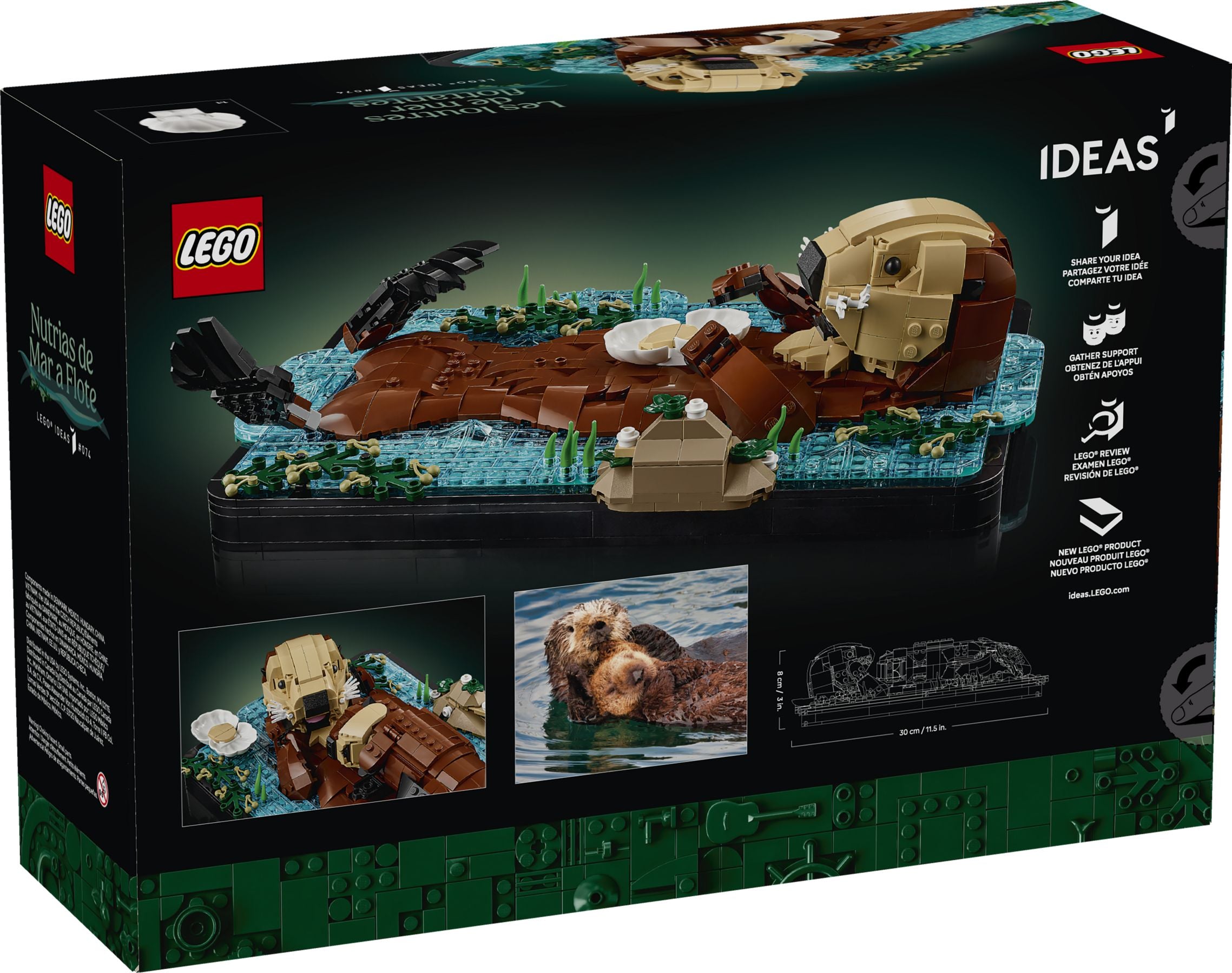 Schwimmende Otter