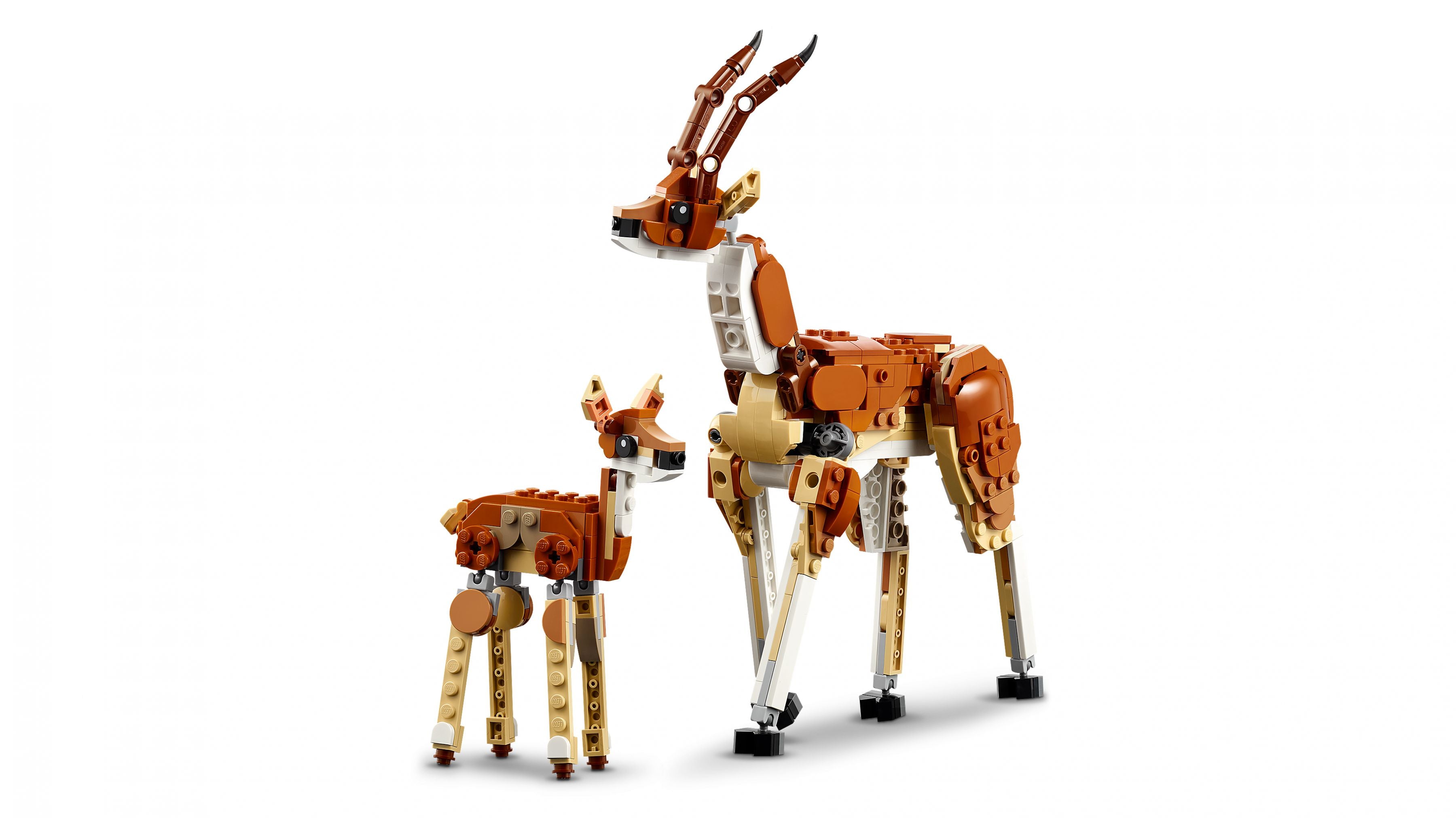 Ensemble Safari Animaux 3 en 1