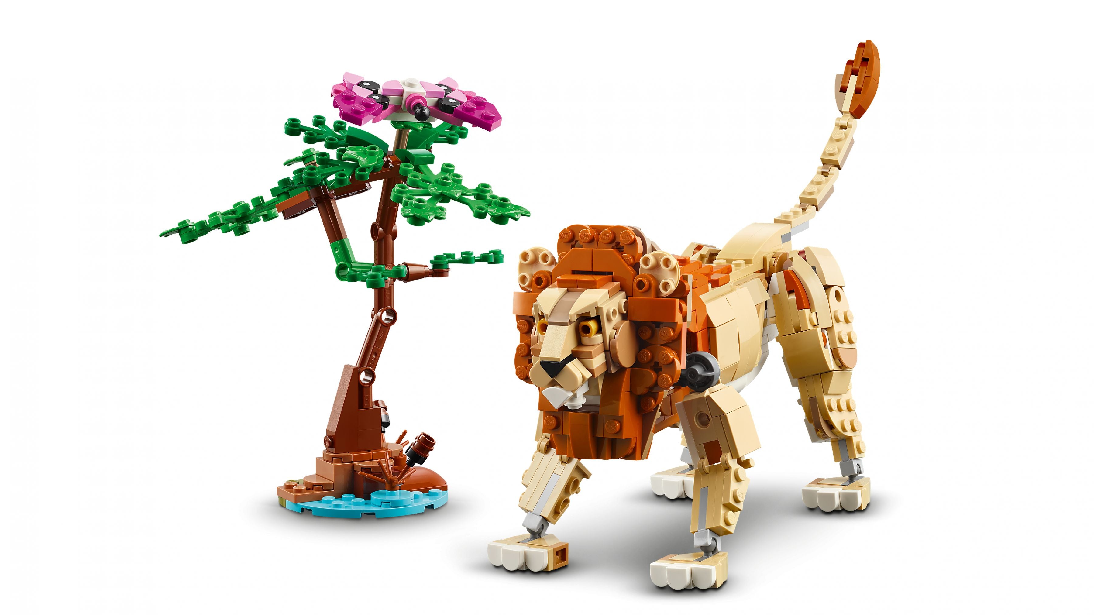 Ensemble Safari Animaux 3 en 1