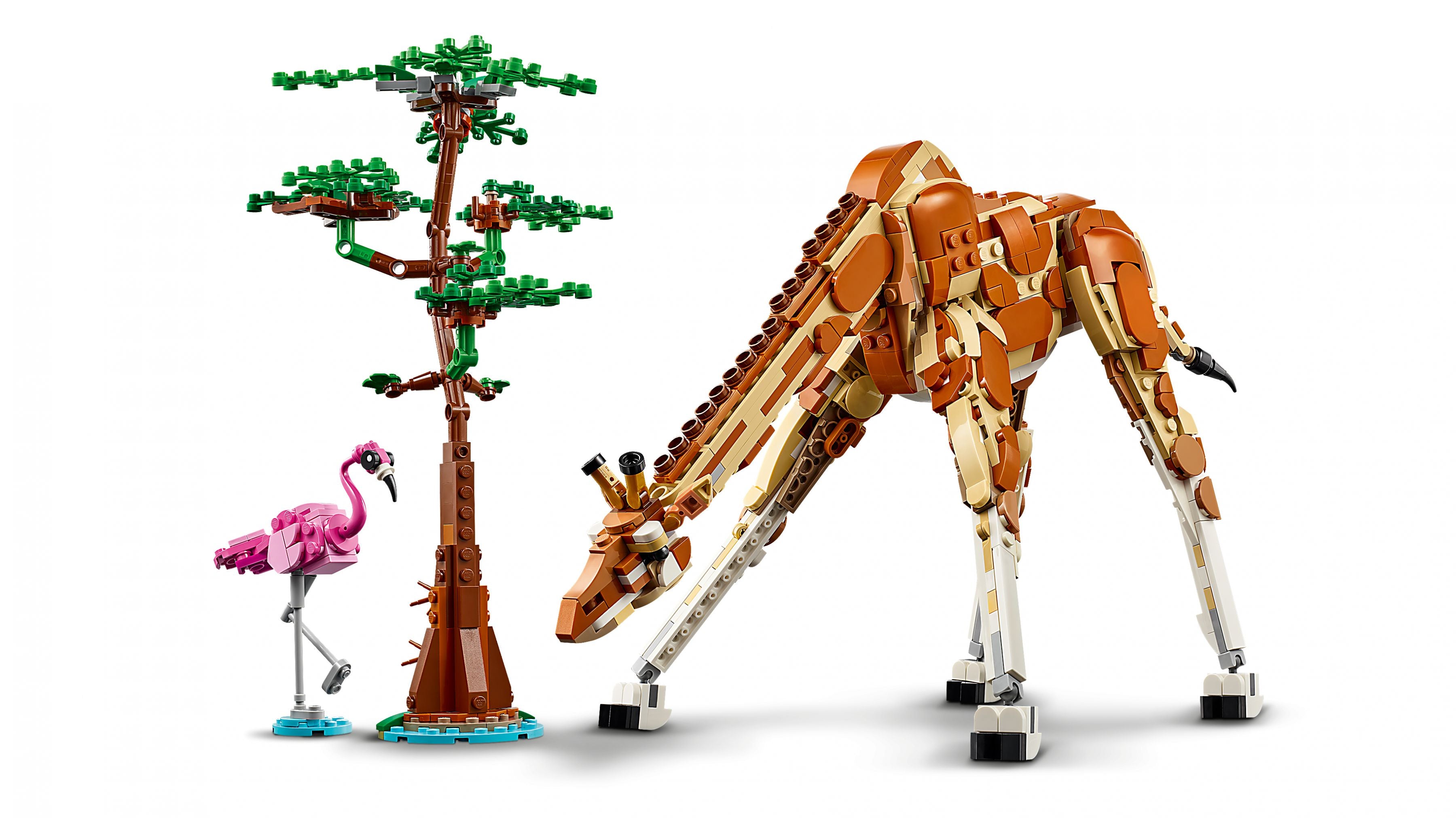 Ensemble Safari Animaux 3 en 1