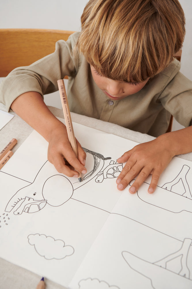 Collection de papiers : Livre de coloriage d'animaux