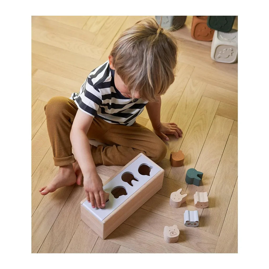 Midas Sortierbox Fahrzeuge